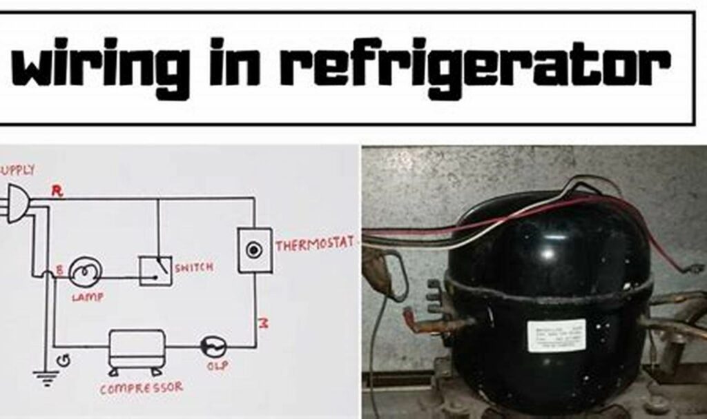 12v fridge compressor wiring diagram