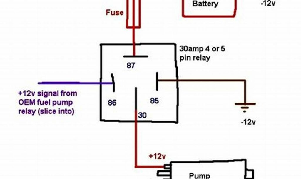 24 volt rib relay wiring diagram