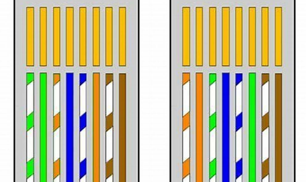 rj45 wall socket wiring diagram